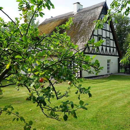 NonnevitzHaus Belaアパートメント エクステリア 写真